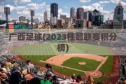 广西足球(2023桂超联赛积分榜)