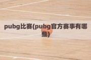 pubg比赛(pubg官方赛事有哪些)