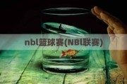 nbl篮球赛(NBl联赛)