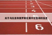 关于乌拉圭和俄罗斯比赛中任意球的信息