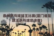 泰州乒乓球球王比赛(厦门谁是球王乒乓球总决赛)