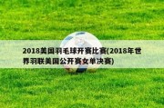 2018美国羽毛球开赛比赛(2018年世界羽联美国公开赛女单决赛)