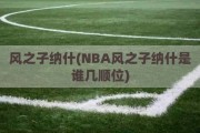 风之子纳什(NBA风之子纳什是谁几顺位)