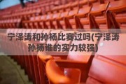 宁泽涛和孙杨比赛过吗(宁泽涛孙杨谁的实力较强)