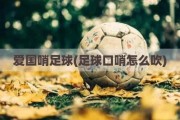 爱国哨足球(足球口哨怎么吹)