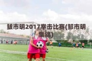 皱市明2017拳击比赛(邹市明集锦)