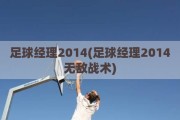 足球经理2014(足球经理2014无敌战术)