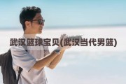 武汉篮球宝贝(武汉当代男篮)