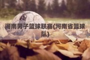 河南男子篮球联赛(河南省篮球队)