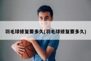 羽毛球修复要多久(羽毛球修复要多久)