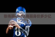 张伟丽ufc(张伟丽身价多少亿)