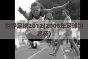 世界足球2012(2008年足球世界杯)