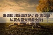 去美国训练篮球多少钱(美国篮球夏令营大概多少钱)