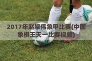 2017年赵攀伟象甲比赛(中国象棋王天一比赛视频)