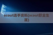 scout选手资料(scout职业生涯)