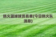 热火篮球球员名单(今日热火队消息)