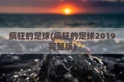 疯狂的足球(疯狂的足球2019完整版)