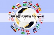 斯旺森篮球(斯旺森 life space)