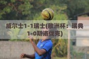 威尔士1-1瑞士(欧洲杯：瑞典1-0斯洛伐克)