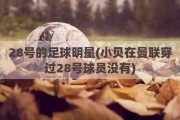 28号的足球明星(小贝在曼联穿过28号球员没有)