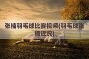 张楠羽毛球比赛视频(羽毛球张楠近况)