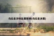 乌拉圭沙特比赛视频(乌拉圭决赛)