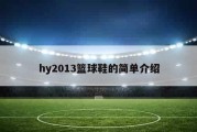 hy2013篮球鞋的简单介绍