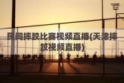 民间摔跤比赛视频直播(天津摔跤视频直播)
