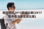 朝阳学校2017足球比赛(2017初中总决赛足球比赛)