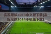 实况足球2013中文版下载(实况足球2014手机版下载)