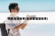 陕西溜溜体育(低调看溜溜体育)