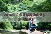 2016年广东篮球赛佛山队(广东佛山队)