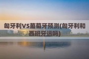 匈牙利VS葡萄牙预测(匈牙利和西班牙远吗)