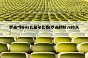 罗森博格vs瓦路尔比赛(罗森博格vs维京)