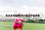 包含足球经理2017张玉宁的词条