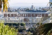 羽毛球队(2023羽毛球比赛赛程)