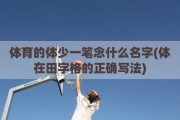 体育的体少一笔念什么名字(体在田字格的正确写法)