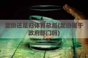 足协还是归体育总局(足协属于政府部门吗)