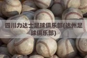 四川力达士足球俱乐部(达州足球俱乐部)