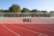 阿根廷足球2017集锦(阿根廷球队)