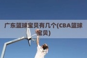 广东篮球宝贝有几个(CBA篮球宝贝)