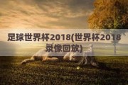 足球世界杯2018(世界杯2018录像回放)