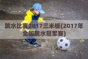 跳水比赛2017三米板(2017年全国跳水冠军赛)