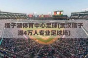 塔子湖体育中心足球(武汉塔子湖4万人专业足球场)