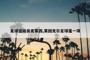 足球运动员克莱因,莱因克尔足球是一项