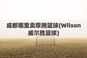 成都哪里卖摩腾篮球(Wilson威尔胜篮球)