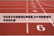 河北青少年跆拳道比赛结果,河北省跆拳道技术交流大赛