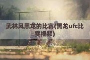 武林风黑龙的比赛(黑龙ufc比赛视频)