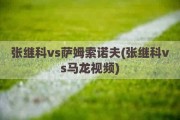 张继科vs萨姆索诺夫(张继科vs马龙视频)