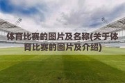 体育比赛的图片及名称(关于体育比赛的图片及介绍)